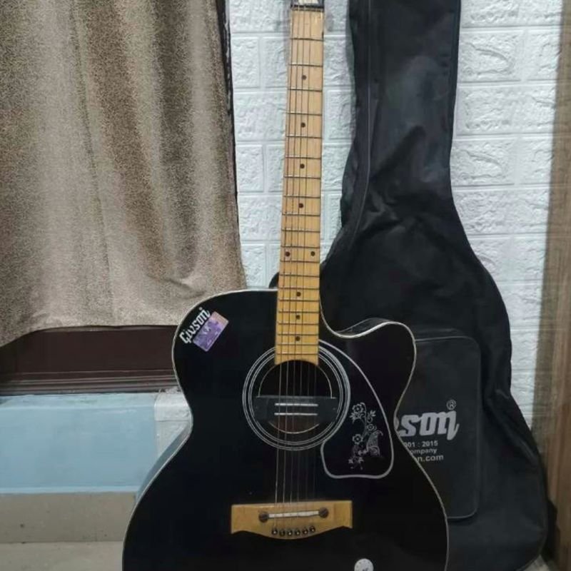 Givson Venus Super Special Guitar